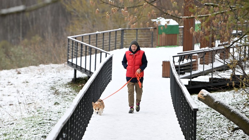 В нескольких районах Подмосковья минувшей ночью выпал снег