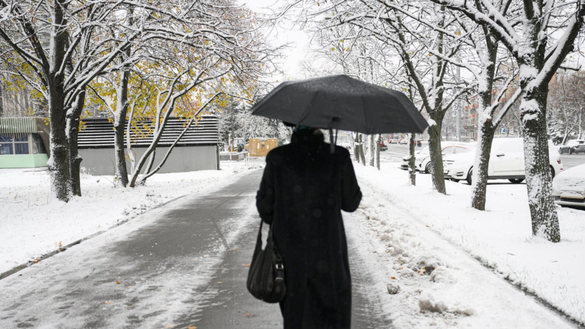 Синоптик Леус спрогнозировал временный снежный покров в Москве