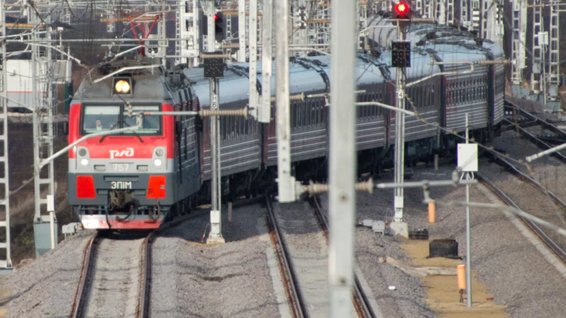 Юрист: за отказ оплатить провоз крупного багажа могут высадить из поезда