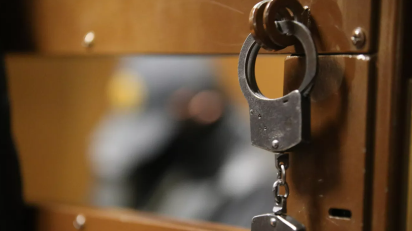 Виновницу смертельного ДТП в центре Москвы арестовали на два месяца