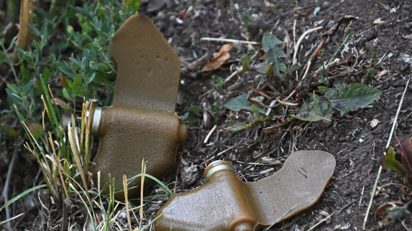 Женщина погибла от мины &laquo;Лепесток&raquo; в Брянской области