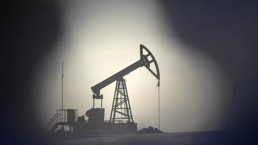 Более десяти стран попросили США продлить послабления по российской нефти