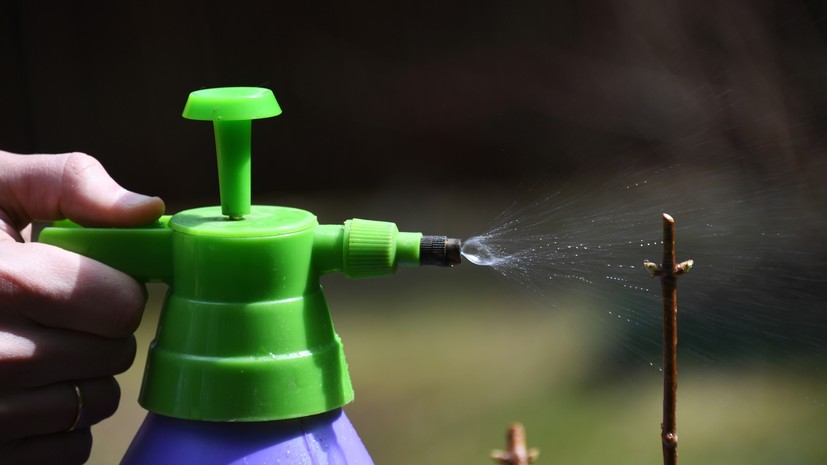 Юрист предупредила о штрафах за неправильную обработку дачи от вредителей