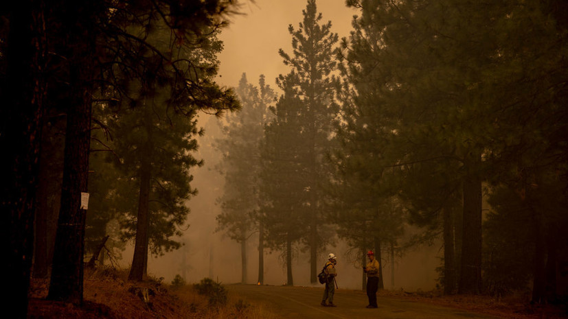 NBC: в США лесные пожары уничтожили более 50 жилых домов