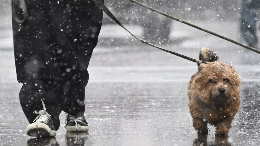 Синоптик Ильин: сильный снегопад ожидается в Подмосковье 27—28 апреля