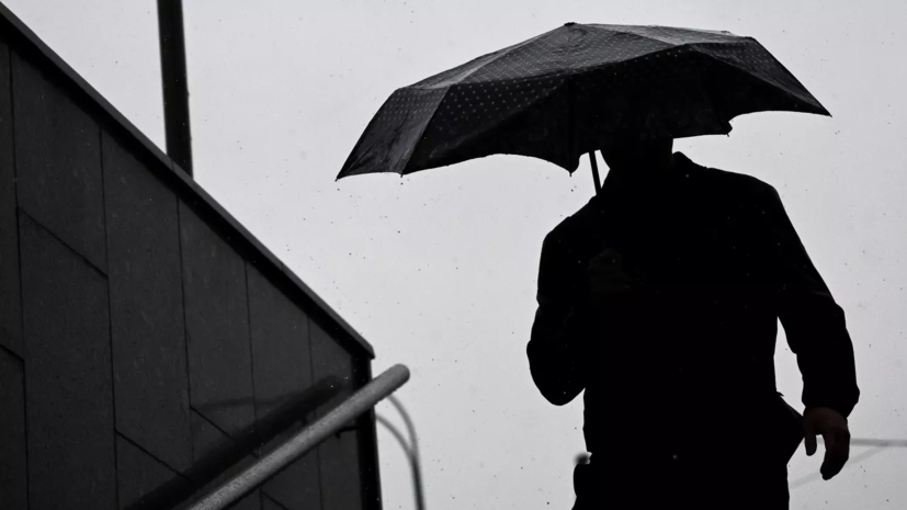 Синоптик Позднякова предупредила о дождях в Москве до мая
