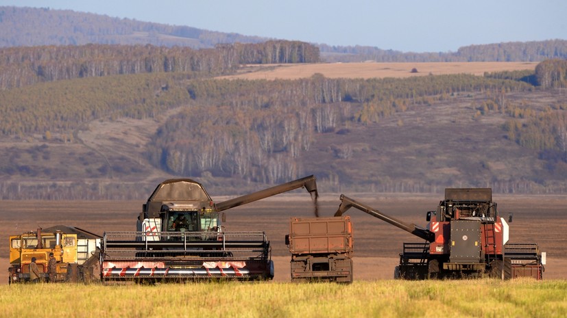 SHOT: молодые россияне бросают офисную работу и становятся фермерами