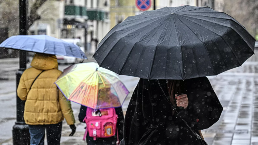 Синоптик Позднякова предупредила о дожде со снегом в Москве в начале недели