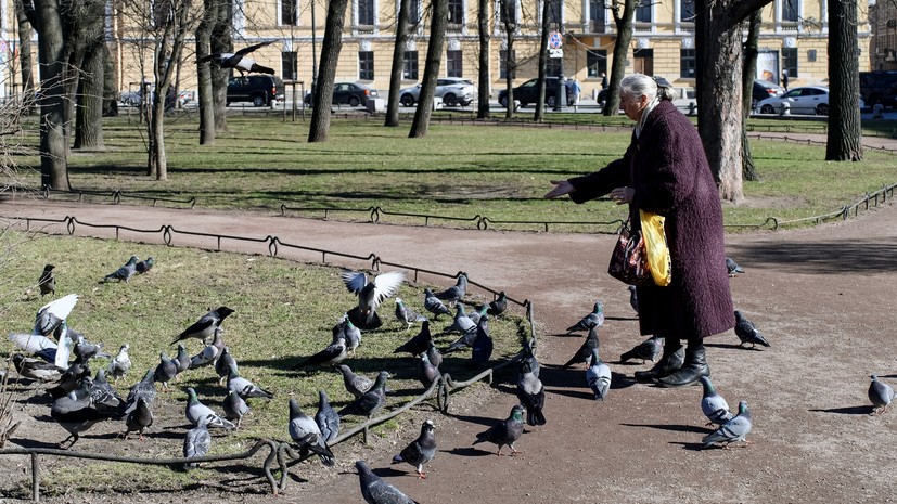 Юрист Асабина: россиян могут оштрафовать за кормление голубей рядом с домом
