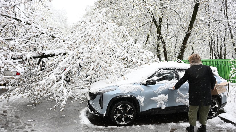 Синоптик Ильин: снежная погода в Москве продлится до утра 29 апреля