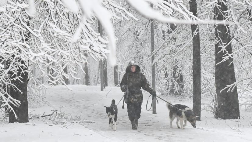 «Пока в рамках климата»: эксперты — об апрельском снегопаде и его влиянии на природу и рисках для сельского хозяйства