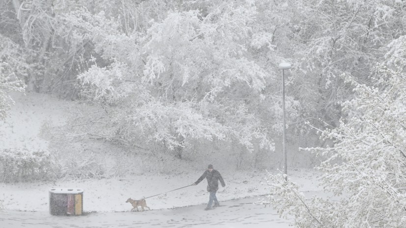 В Вологодской области из-за снегопада у 25 тысяч жителей отсутствует свет