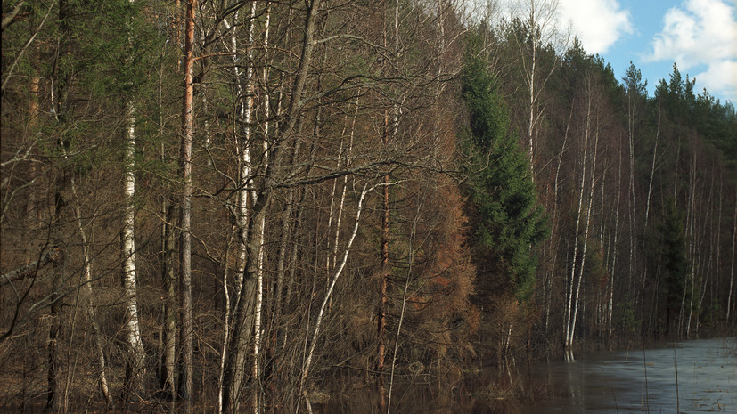 Синоптик Позднякова: воздух в Подмосковье 1 мая прогреется до +8 °C