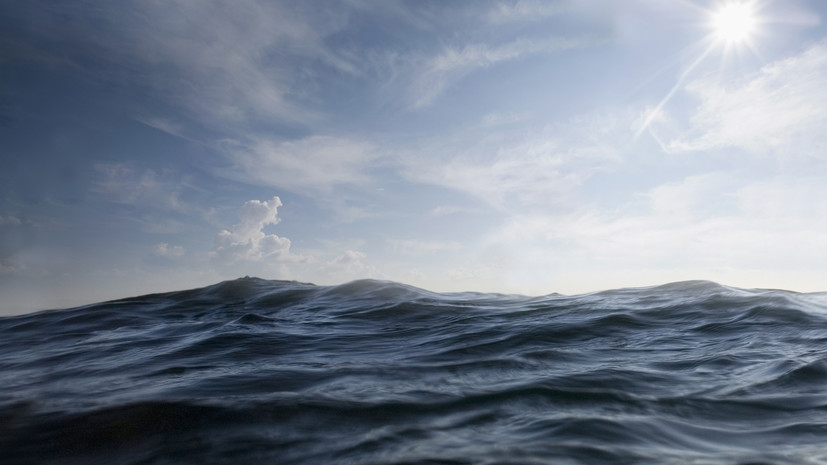 РИА Новости: разведывательный дрон НАТО подал сигнал бедствия над Чёрным морем