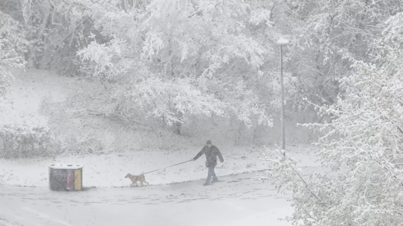 Синоптик Шувалов назвал апрельское похолодание нормальным
