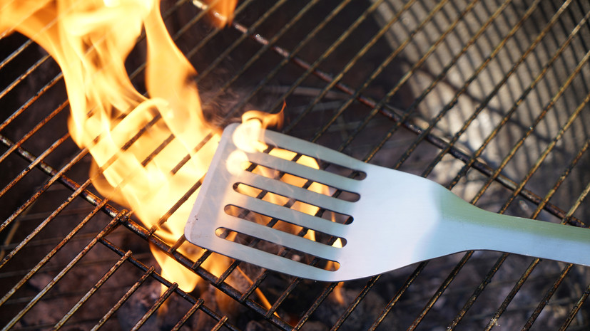 Принадлежности для шашлыка призвали укомплектовать инструкциями с советами