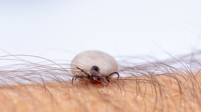 ����&nbsp; �����������: ������� ����� ����� �������� ������ ����� ����� ����� 14 ����