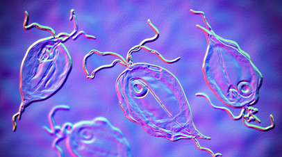 В Муроме зафиксировали 106 случаев кишечной инфекции, 50 человек в больнице