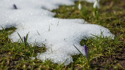 Синоптик&nbsp; Шувалов высказался о вероятности выпадения снега в Москве