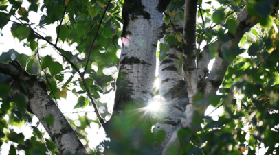 ����������&nbsp; ������������ � ������ ��������� �������� �����