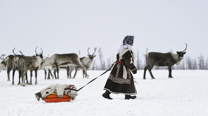 ���������&nbsp; �������: ����� ������ ��������� �������� ������