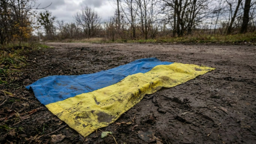 Депутат Колесник: нужно лишить чувства безопасности лиц, принимающих решения в Киеве