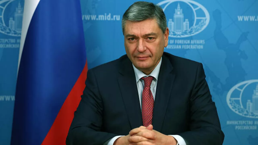 Руденко обратил внимание депутата парламента Японии на сотрудничество с Киевом