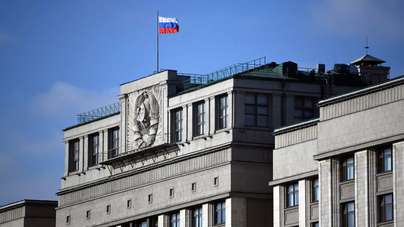 В ГД заявили о «странных источниках» мирных инициатив Украины