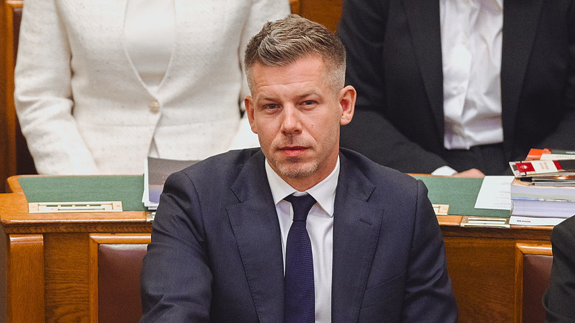 Мадьяр вновь призвал президента Венгрии Шуйока уйти в отставку до конца мая