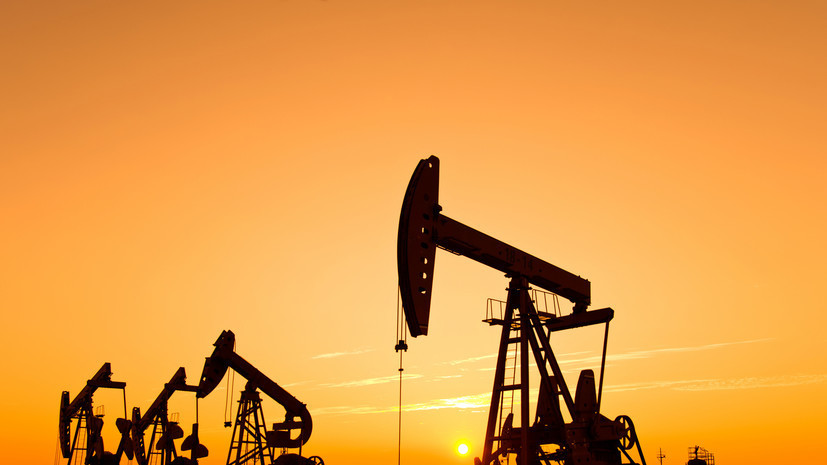 Политик Нимайер спрогнозировал дефицит нефти в ФРГ к концу мая