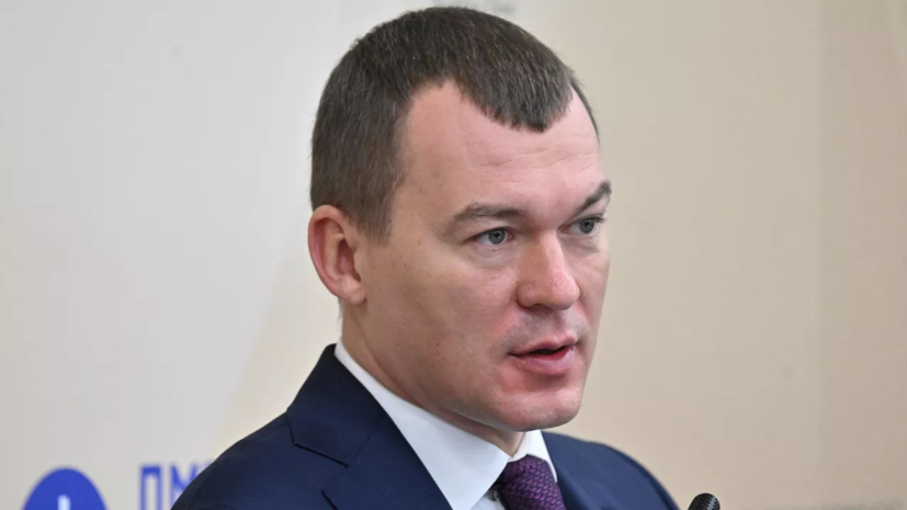 Дегтярёв — об ужесточении лимита: через год посмотрю, пошли деньги на детей или нет