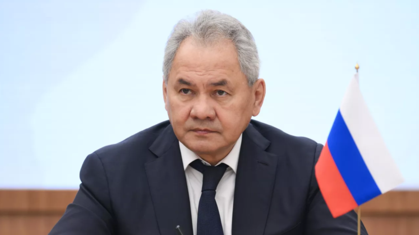 Шойгу: последние шаги Армении противоречат духу союзничества с Россией