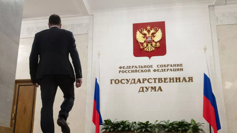 Член ЦИК Булгакова: провести ДЭГ на выборах в Госдуму хотят 34 региона России