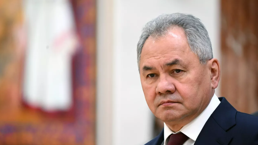 Шойгу заявил об отработке в НАТО ударов по Союзному государству