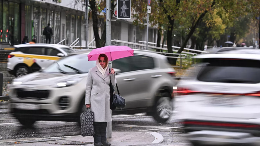 Синоптик Позднякова: ночью 29—30 мая в Подмосковье может быть +1 °C