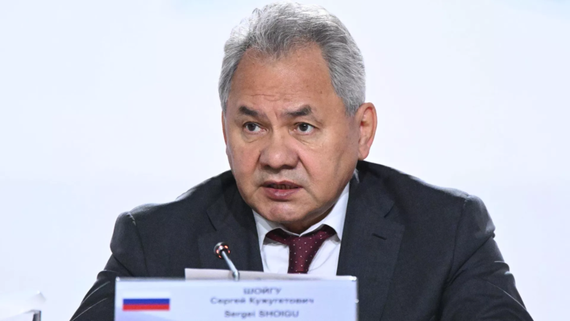Шойгу: спецслужбы Запада подогревают межэтническую рознь для «цветных революций»