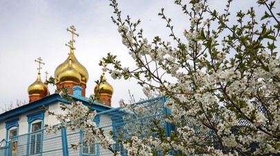 Не просто исцеление: чему учит история последнего воскресенья перед отданием Пасхи