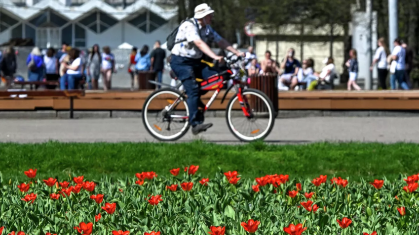 Синоптик Ильин: 30-градусная жара вернётся в Москву к концу июня