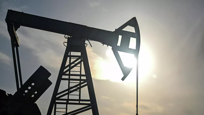 В Индии объяснили позицию по поставкам нефти из России