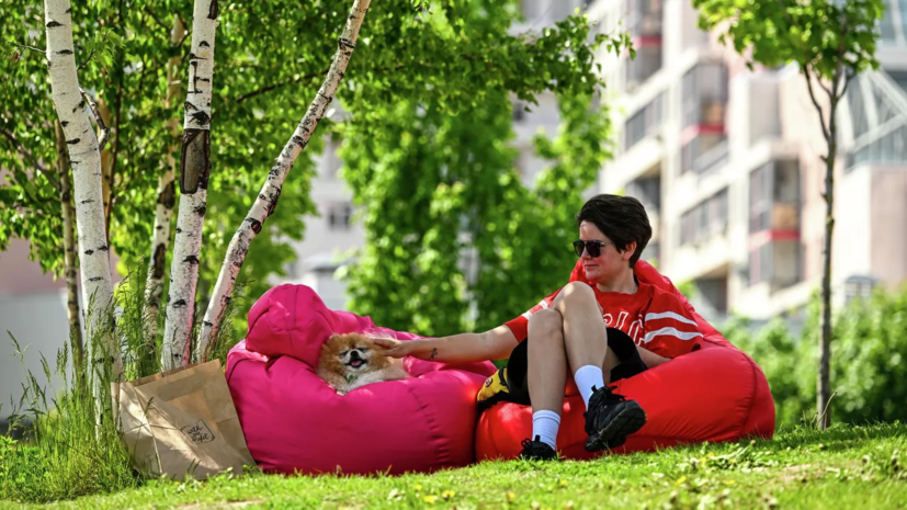 Синоптик Ильин спрогнозировал жару до +32 °C в Подмосковье