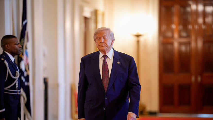 Die Welt: Трамп мог поручить IT-компаниям США помочь Украине