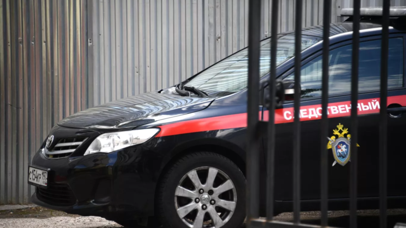 Дело завели после крушения сверхлёгкого самолёта в Ленобласти