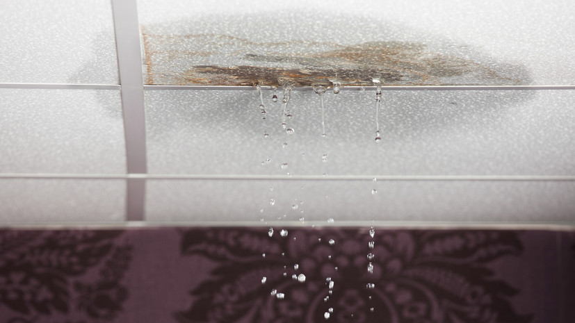 Россиянам рассказали, что делать после потопа в квартире