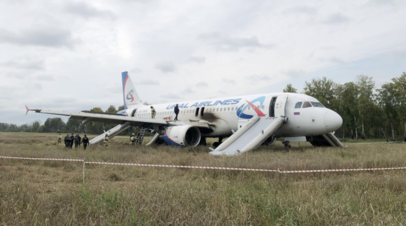 Прокуратура&nbsp; обжаловала возврат дела пилота Белова, посадившего самолёт в поле