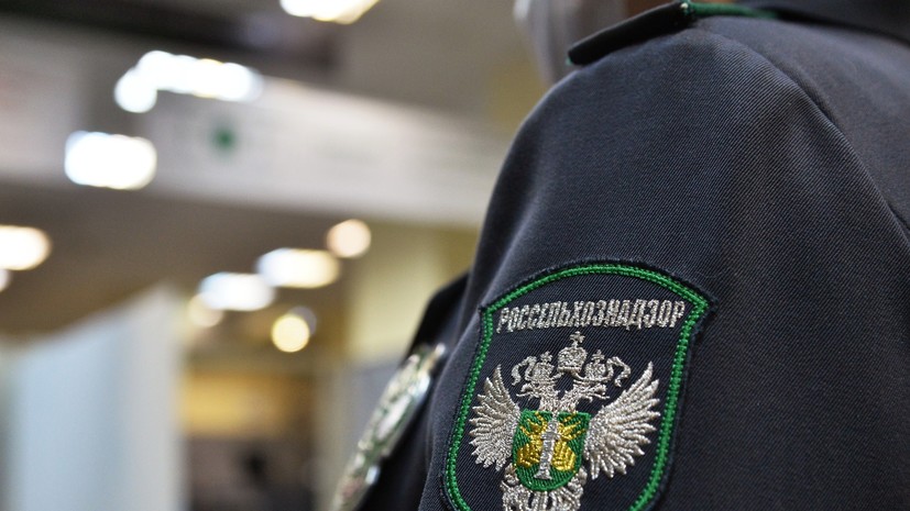 Россельхознадзор выявил нарушения в кафе после массового отравления
