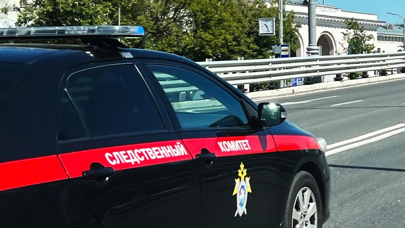 Лантратова призвала расследовать насилие над двухлетней девочкой из Краснодара