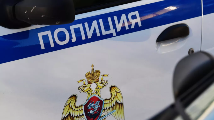 Иноагент Ирина Шумилова объявлена в розыск