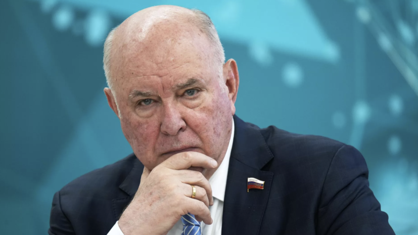 Сенатор Карасин заявил о враждебном настрое «коалиции желающих»