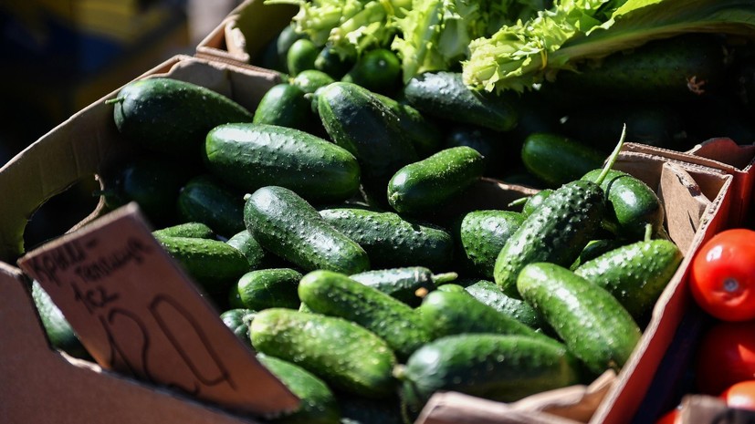 «Руспродсоюз»: огурец стал самым подешевевшим за месяц продуктом в России