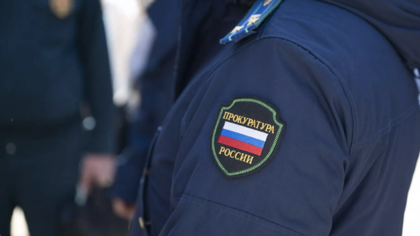Уголовное дело возбудили после нападения собак на ребёнка в Подмосковье